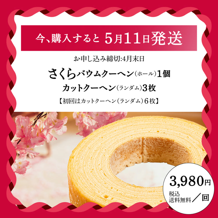 季節のバウムご褒美便|初回限定