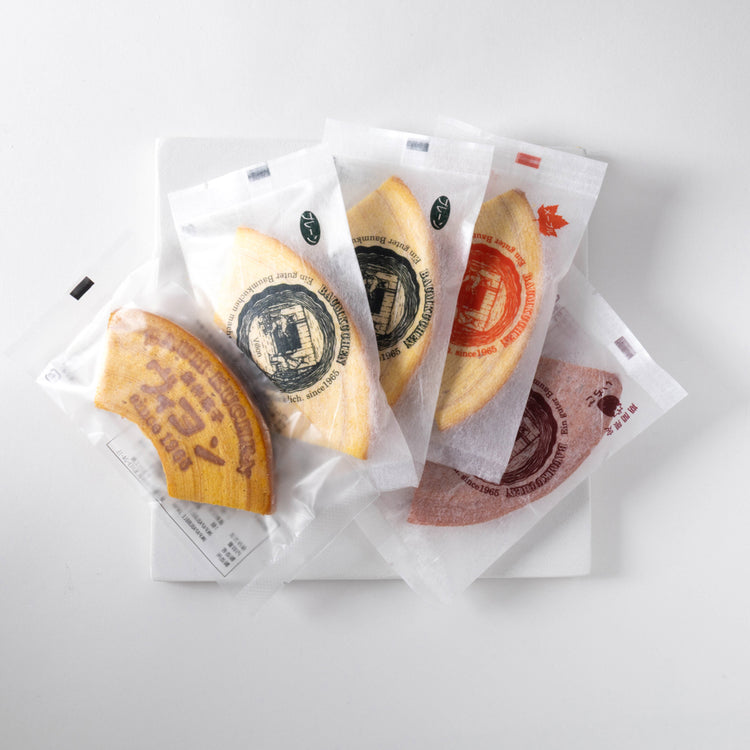 送料無料|ヴィヨンお試し5枚セット